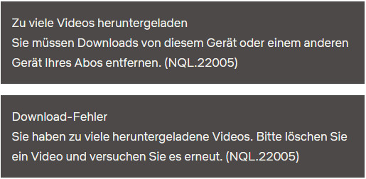 Netflix-Fehler 22005