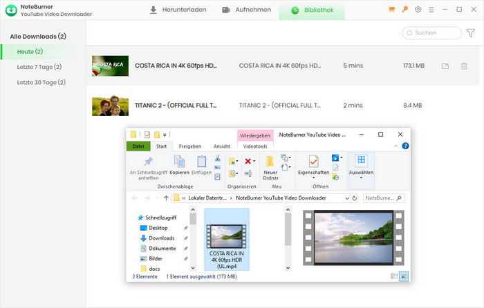 Download-Verlauf anzeigen