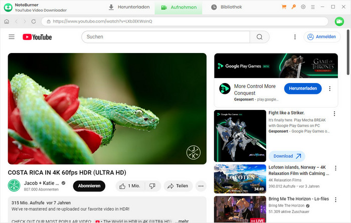 Video finden und abspielen
